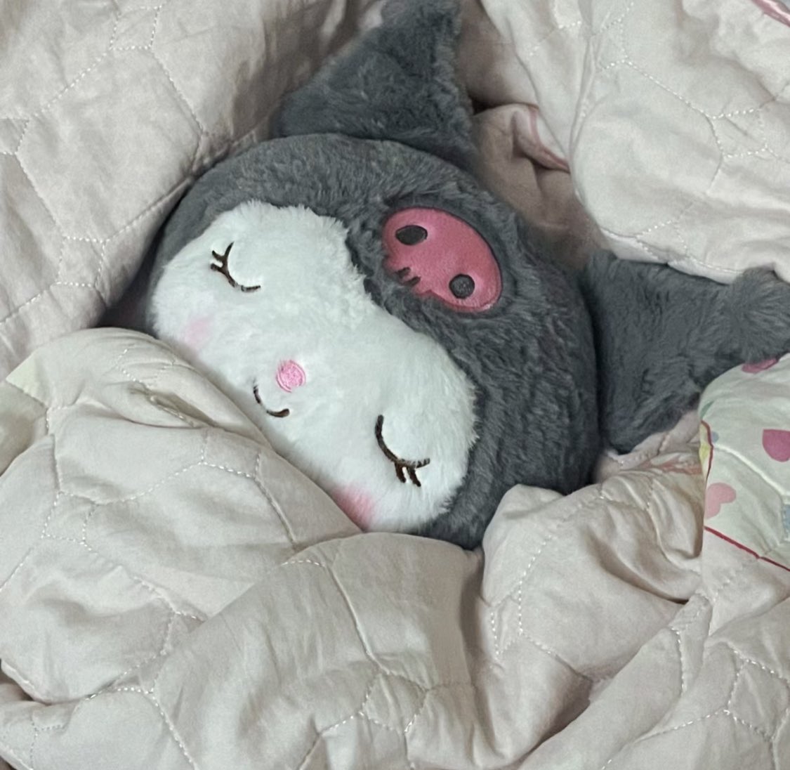 piinkimi_'s tweet photo. nap time https://t.co/4qEG8NMHxO