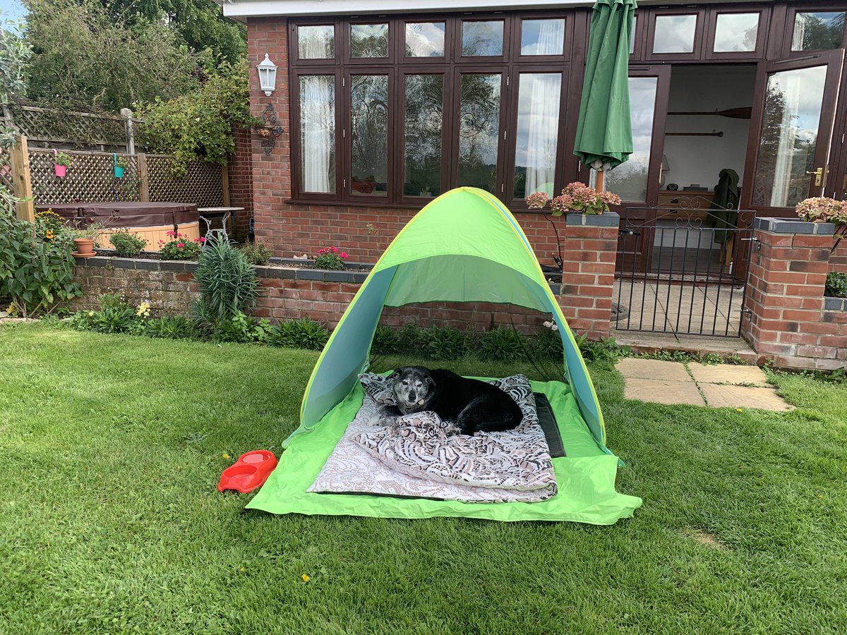 MerlinnotDesmo's tweet image. Yes quite comfy thank you