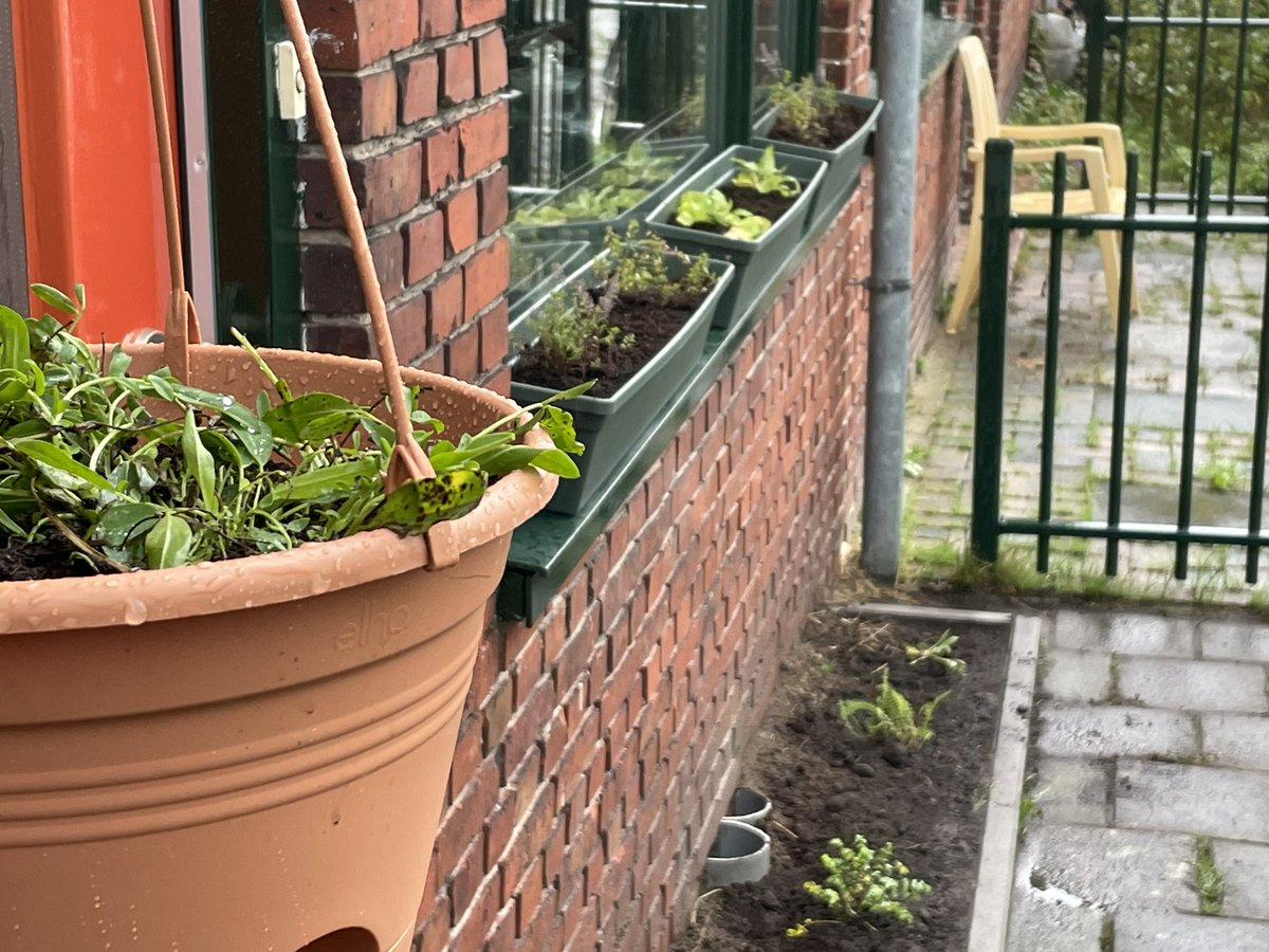 Vandaag Burendag in de Goudsbloemstraat @Oosterparkwijk. Bewoners van @nijestee maken de straat groener en vrolijker! Geveltuintjes, bloembakken en nog veel meer. Goed gedaan allemaal!