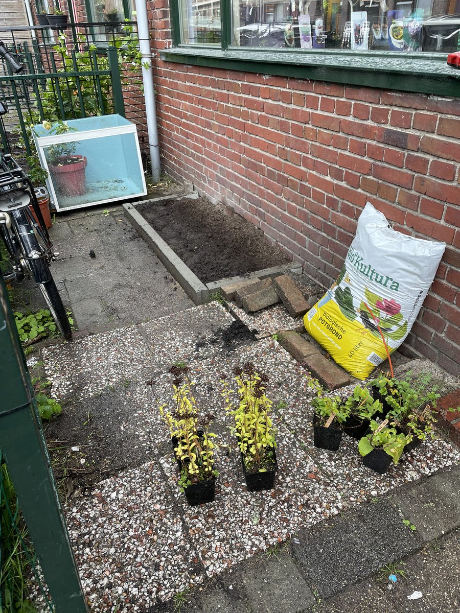 Vicishier's tweet photo. Vandaag Burendag in de Goudsbloemstraat @Oosterparkwijk. Bewoners van @nijestee maken de straat groener en vrolijker! Geveltuintjes, bloembakken en nog veel meer. Goed gedaan allemaal! https://t.co/ugctCD5zpe
