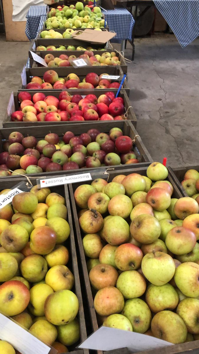 Gorse_Hill_NR's tweet photo. The Apples are looking good.
Come and get some fresh apples, heritage varieties that you won't find in the supermarket, naturally grown on our #HeritageOrchard here in #Aughton near #Ormskirk.
#AppleWeekend https://t.co/K7yJAT8tZM