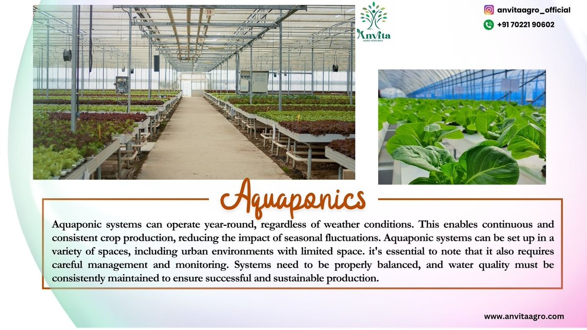 Aquaponics is a sustainable and integrated farming system that combines aquaculture with hydroponics.🪴🌼
#aquaponics #hydroponics #aquaponicsystem #organic #urbanfarming #aquaculture #aquaponic #agriculture #gardening #sustainability #farming  #aquaponicsfarm #greenhouse #fish