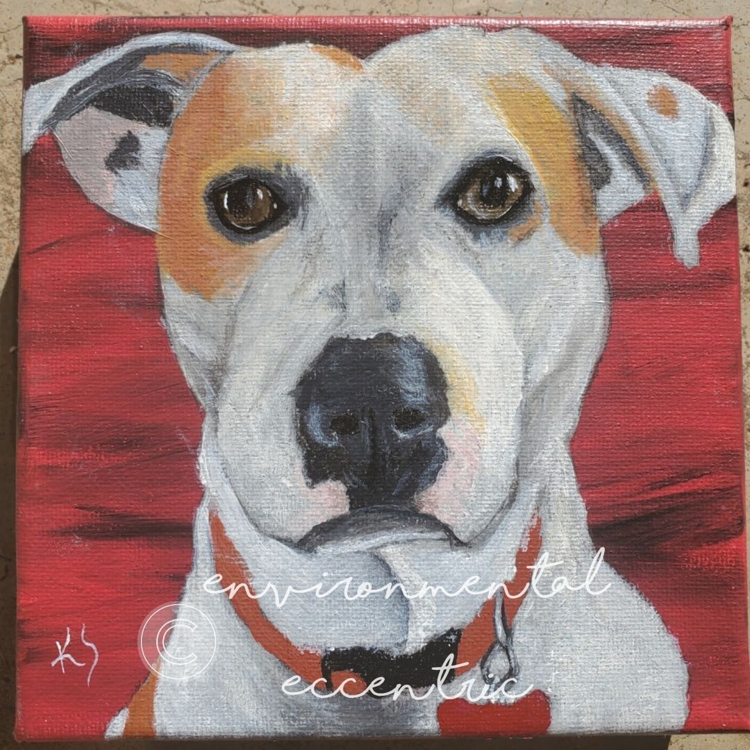 EnvEccentric's tweet photo. I think someone missed the point of my pet portraits, but I’ll take that compliment. #Artist #CopyMachine #Dogs #Art https://t.co/Do3InWh5Fi