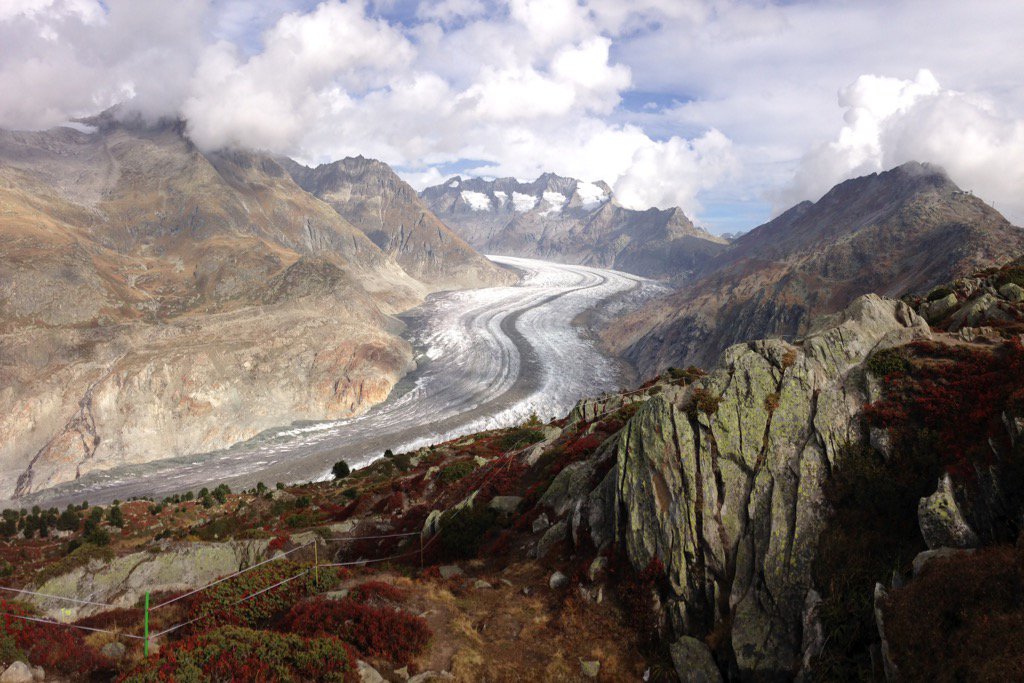 John Miller tweet media