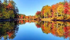 criswinter412's tweet photo. Happy Fall!
#fall #fall2023 #fallvibes #fallishere #startoffall #autumn #autumn2023 #autumnvibes #pumpkin #pumpkinspice #changingcolors #fallingleaves #leaves #orange #yellow #rust #fall2023season https://t.co/5i8HWGfxaI