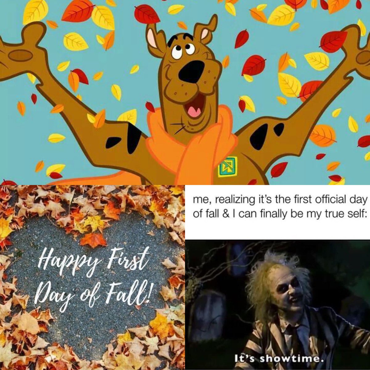 My favorite time of year has finally arrived! Happy first day of autumn!🍁🍁🍁 #FirstDayOfFall #goodbyesummer