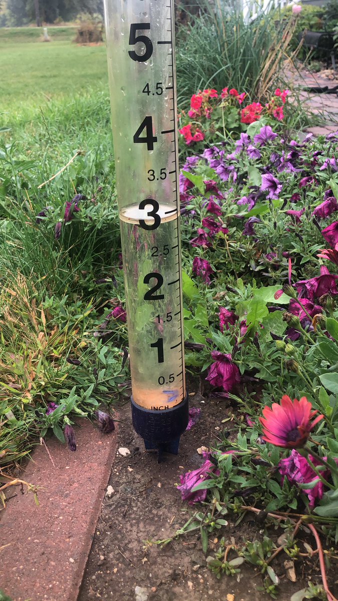 ando209's tweet image. Rain report:  2.9” of rain as of 8 am this morning @NWSLaCrosse  Harmony, MN
