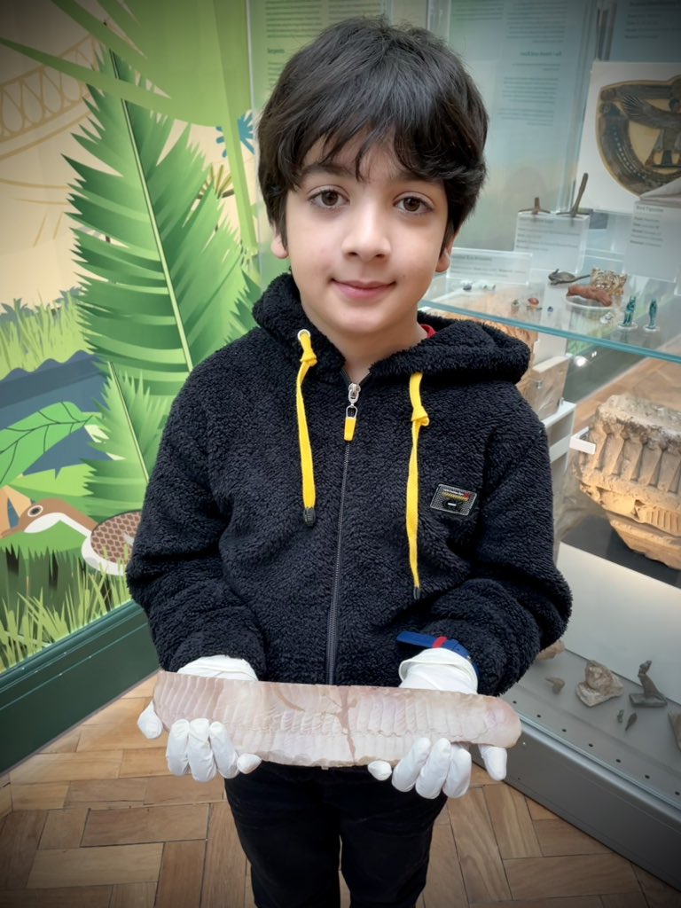 BoltonLMS's tweet photo. Our fave visitor at today’s #DugIt was young Reis!
He brought in some of his stone garden finds AND a clay statue he’d made of the famous “Lion Man”
Our very impressed curator got out some Egyptian objects for Reis to see up close
Reis is a budding archaeologist in the making! https://t.co/MzxlQzpox7