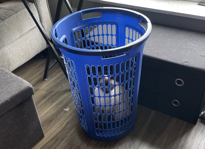 She&rsquo;s got this. https://t.co/d1F5SBnEfx<a href="/tag/mothersday"class="tags"><span>#mothersday</span></a>