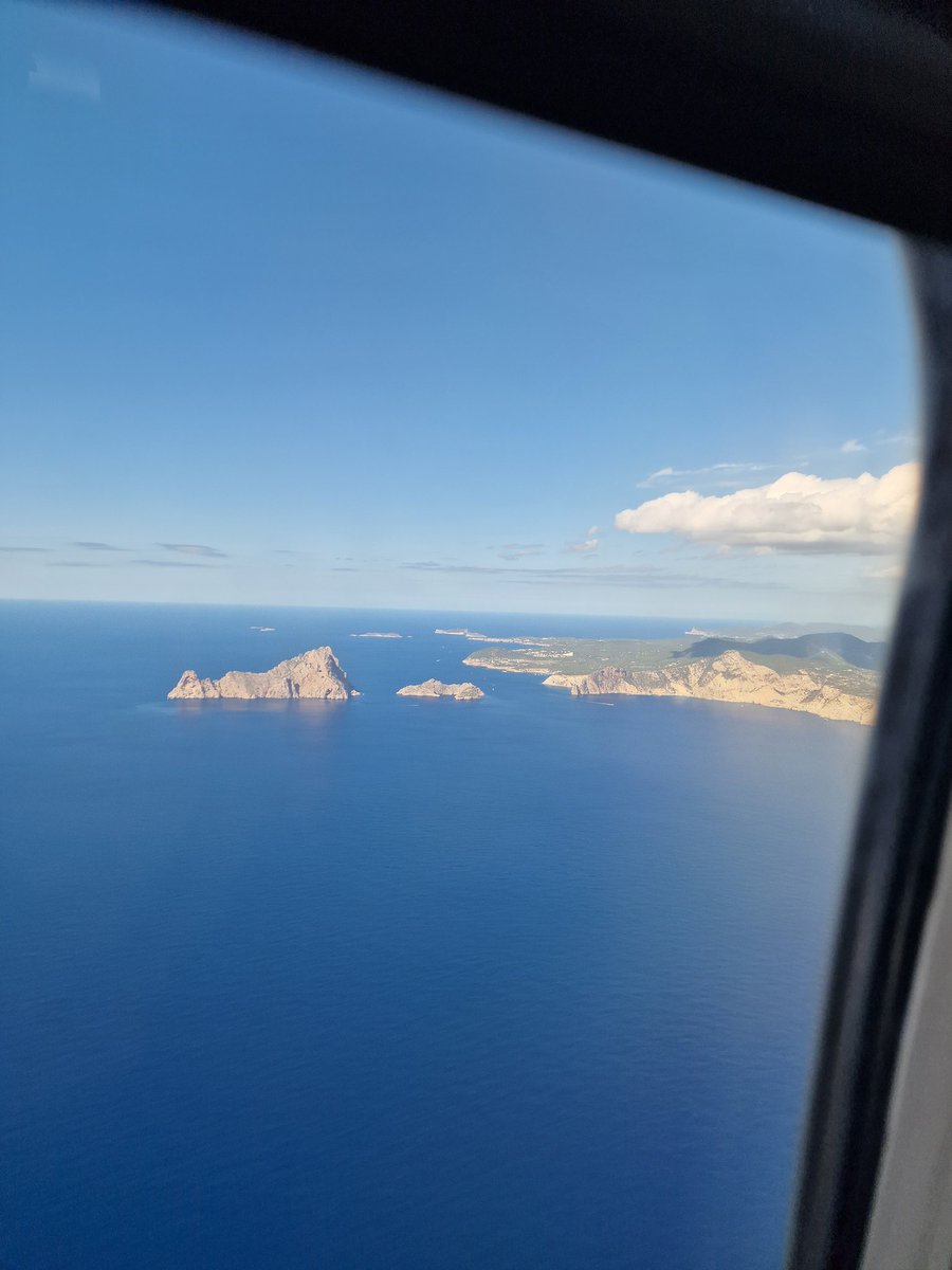 Tom Rottiers tweet media