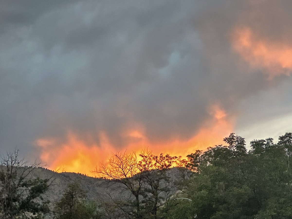 Brian Trewyn tweet media