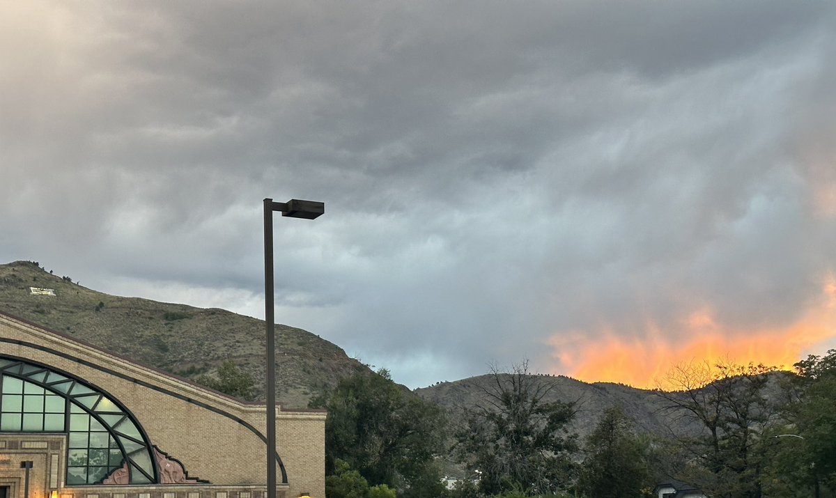 Brian Trewyn tweet media