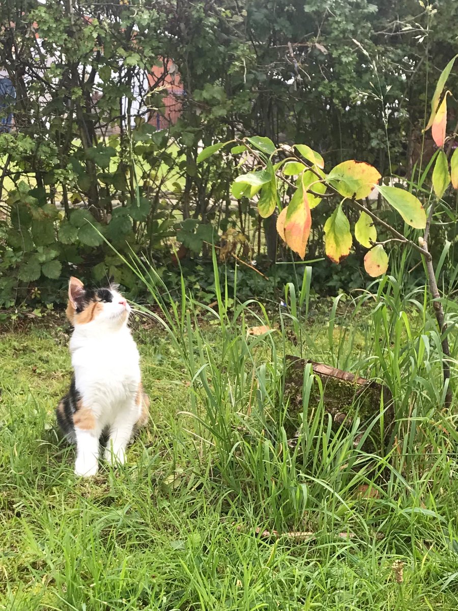 FieldBar Wine tweet media