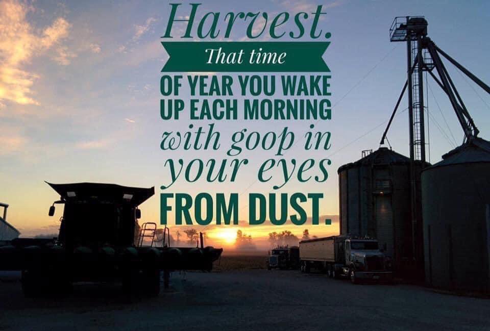DKAS_NIN's tweet photo. Happy Fall Y’all! ’Tis the season for #harvest23! #SponsorsOfSuccess #BayerUp @Asgrow_DEKALB https://t.co/lU2HqJHdbM