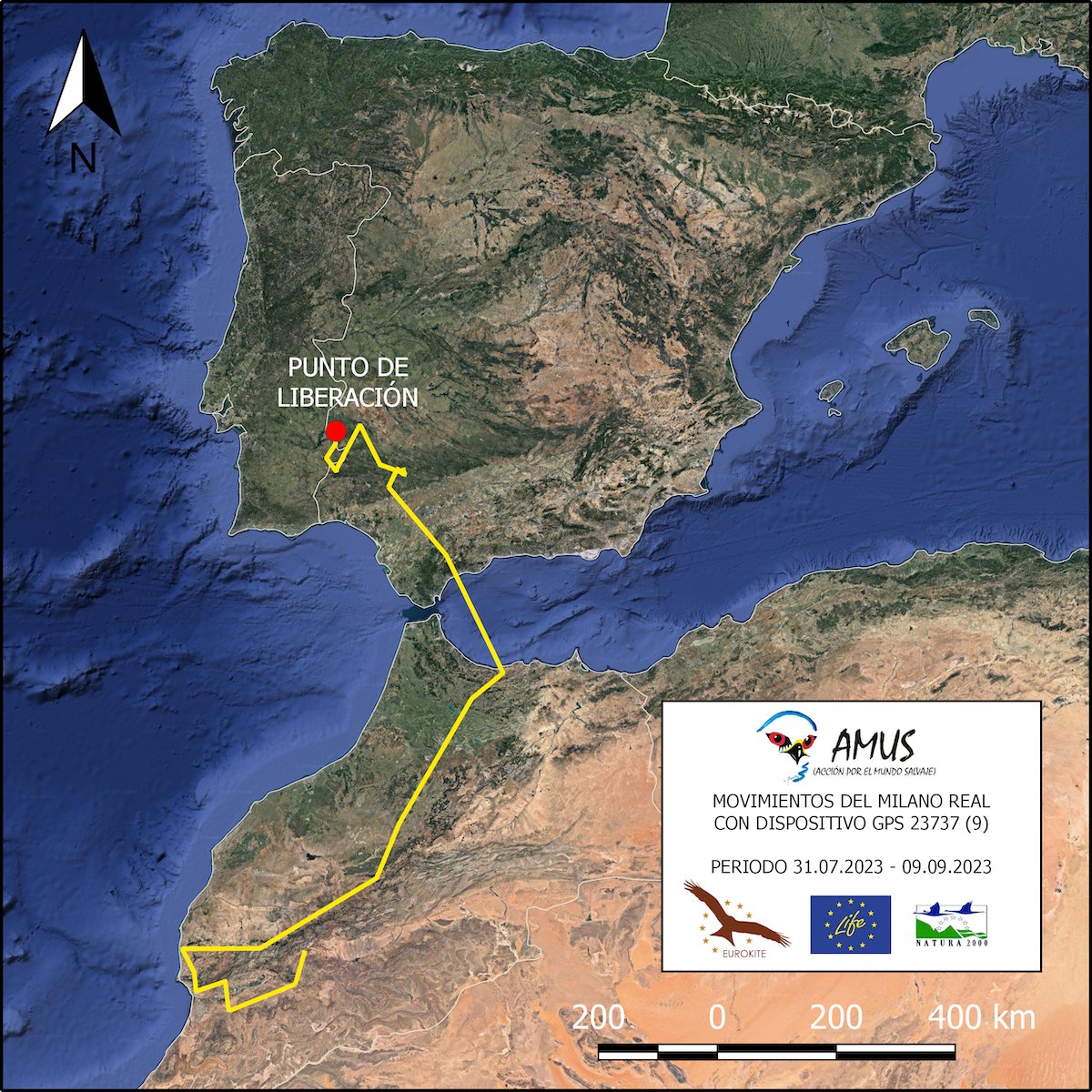 Mossy Earth tweet media