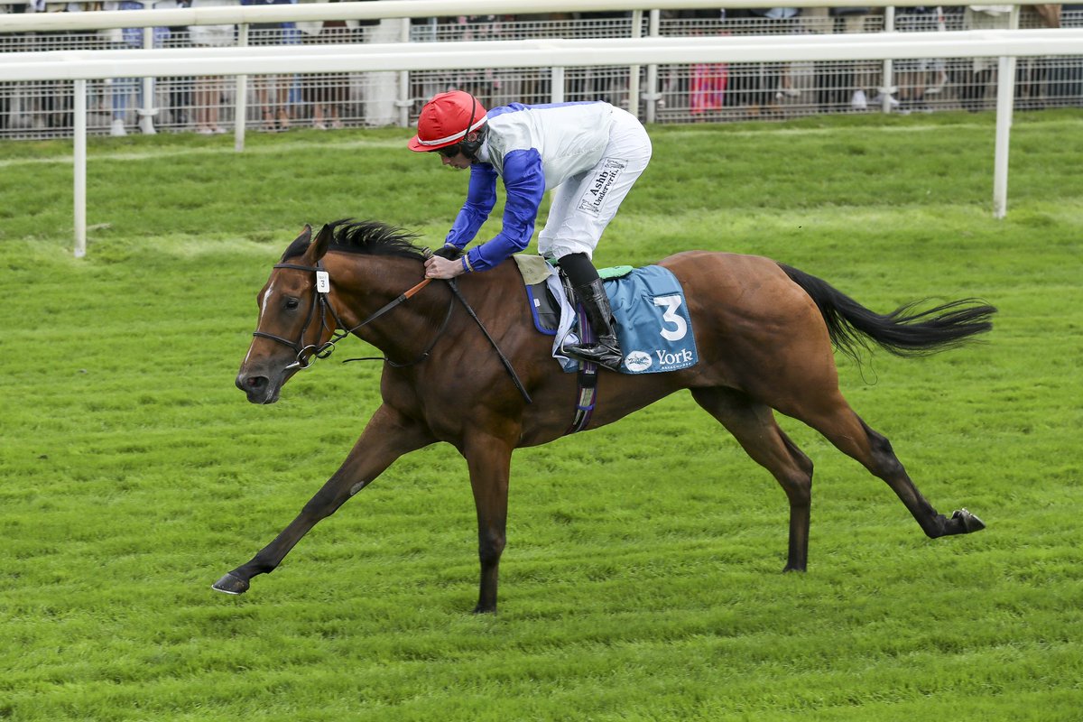 York Racecourse tweet media