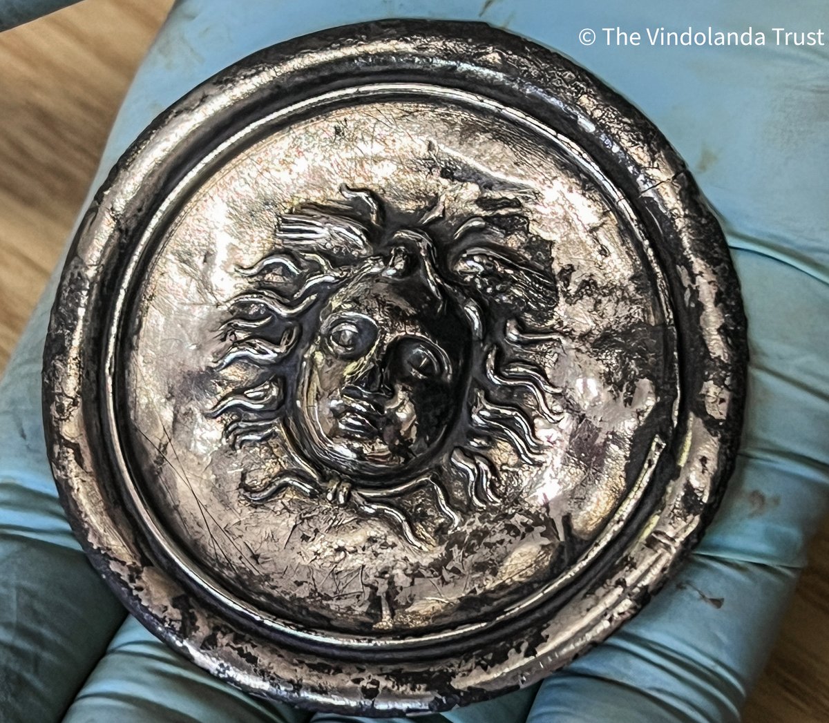 Gareth Harney tweet media