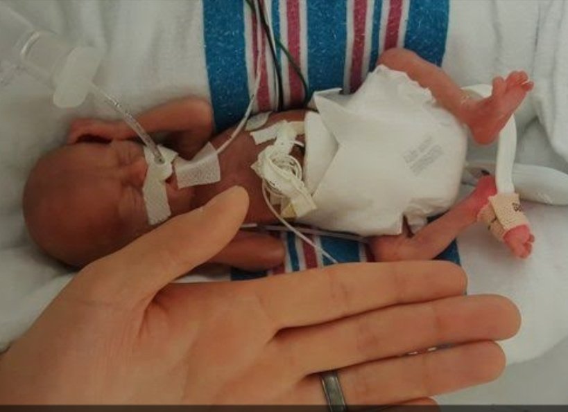 Daniel BigHouse Influencer nas Mídias Sociais tweet media