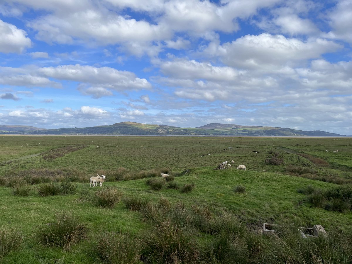 I’m in Wigtown for the book festival this weekend and if you have never visited this beautiful part of the country before, here’s an incentive. The view from round the corner from where I’m staying …