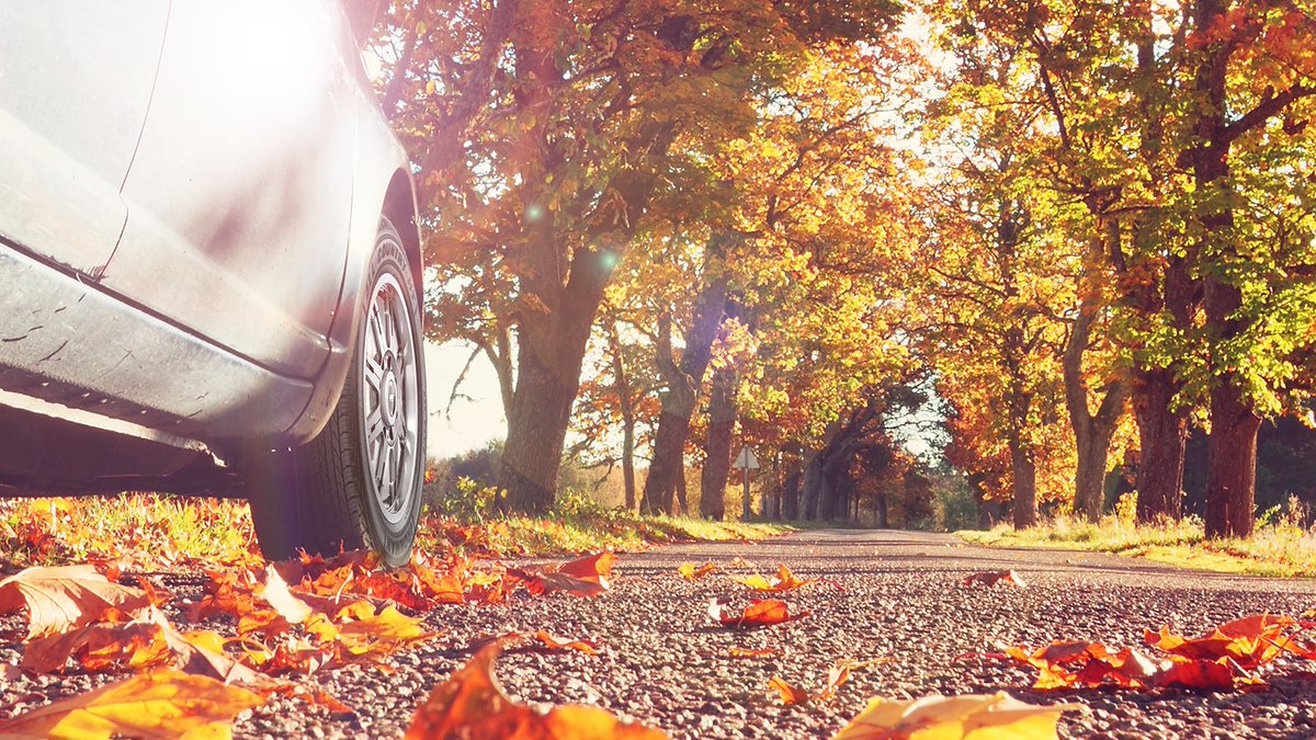 IronmanTires's tweet photo. A tire can lose one pound of pressure for every ten degrees the temperature drops. As the leaves and temperature #fall, make sure your tires are inflated appropriately for maximum performance. Find an authorized Ironman Tires dealer near you: https://t.co/5DhExxwzfa https://t.co/8I8ezd549A
