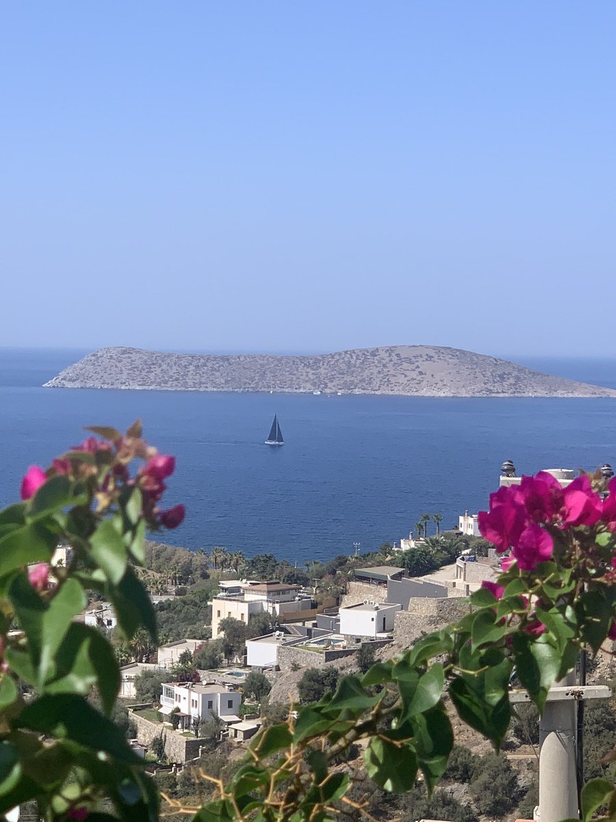 Siyah kuğu misali,  denizde süzülen yelkenli…