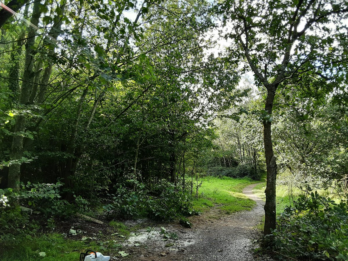 Before and After.... fallen tree dealt with before it was even reported! 
Thanks to Jon, our ranger. #torfaen #henllyslnr #speedy