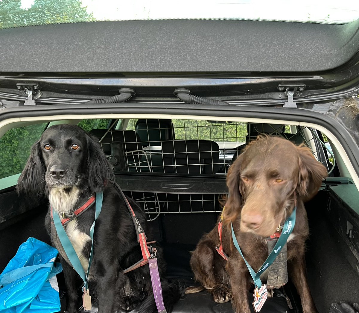 Turns out the ‘it’ll be right’ motto isn’t very effective when planning a 50km Ultra. 

Lesson of the day, don’t let life get in the way of your training, otherwise you will feel like you’ve been hit by a bus.

However,  these 2 had a blast and🤞 won’t want a walk tonight.