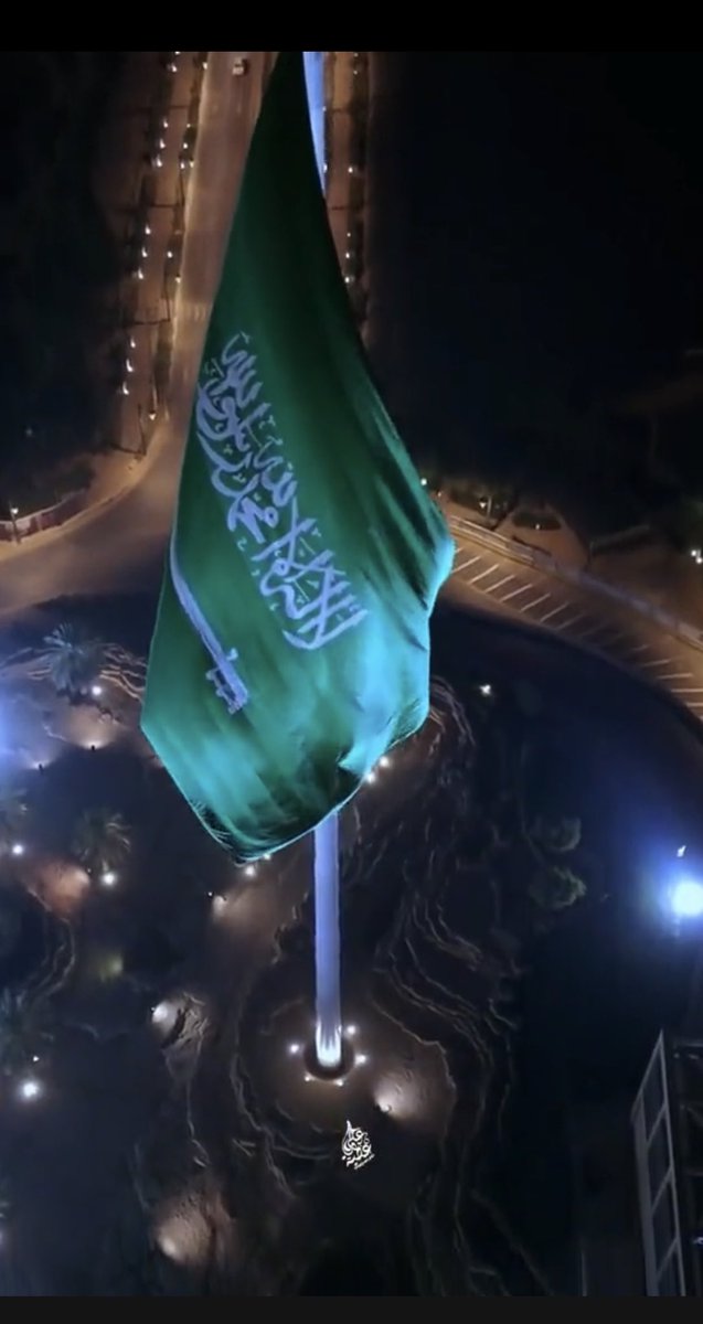 alsif_faisal's tweet photo. كل عام والوطن بخير 🌴🌴💚💚💚💚💚💚💚💚💚💚💚💚💚💚 https://t.co/nHmjU3lYHd