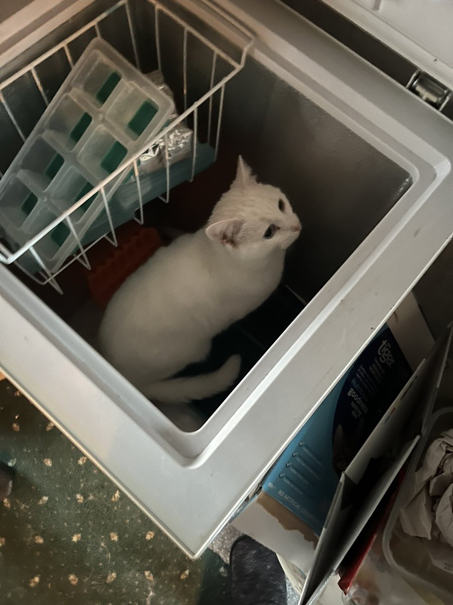 He thinks he’s a bag of frozen nuggets