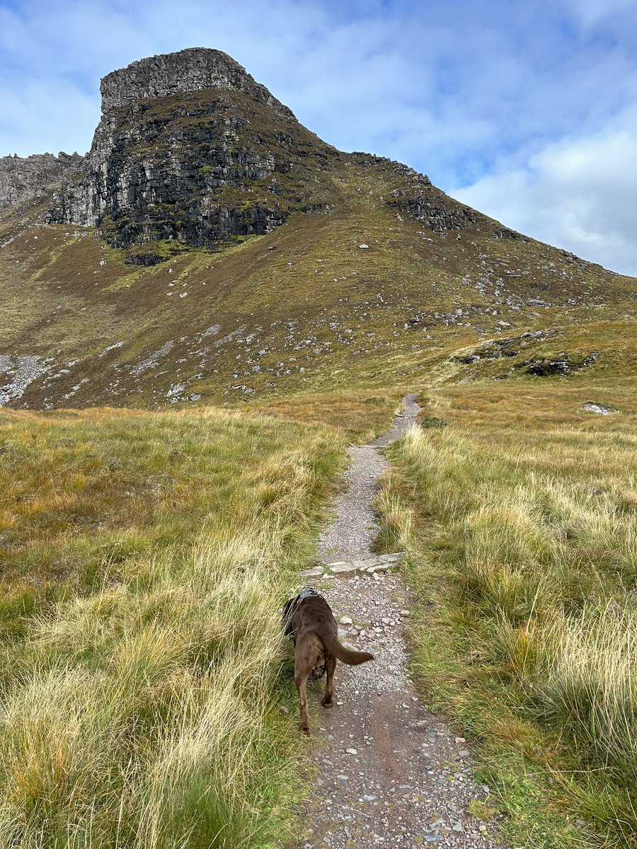 Northlakesuk's tweet image. Another cracking day on the tour of Scotland in the campervan a great walk up Stac Pollaidh with outstanding views followed by a mooch around Ullapool then bumped into fellow campervans who I fixed a problem in their van the other day 👍 #vanlife #stacpollaidh