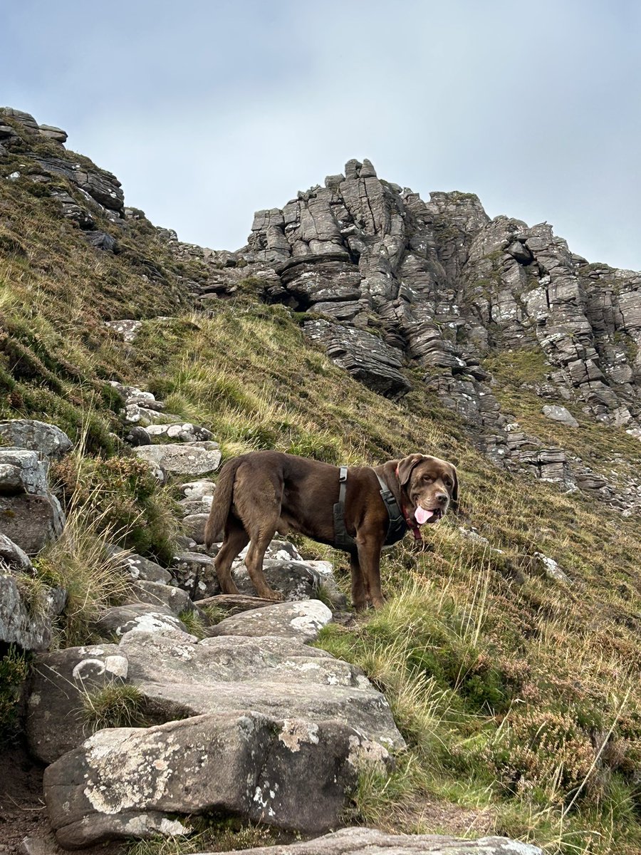 Northlakesuk's tweet image. Another cracking day on the tour of Scotland in the campervan a great walk up Stac Pollaidh with outstanding views followed by a mooch around Ullapool then bumped into fellow campervans who I fixed a problem in their van the other day 👍 #vanlife #stacpollaidh