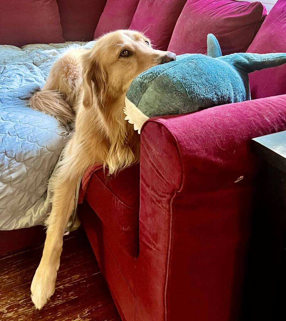 TheGoldenRatio4's tweet photo. 100% vibes https://t.co/7BibdaNE1J
