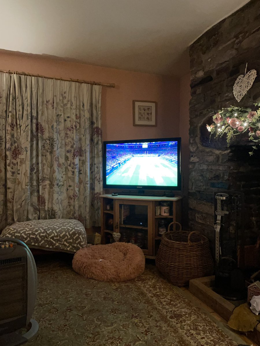 Come on Ireland!!! ☘️🏉 #paddy #RWC23 #celts #Rugby #Ireland