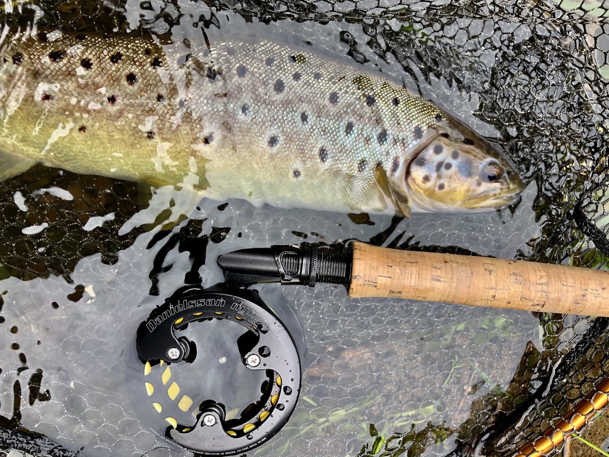 My home water is better than yours. Well, it is in my little world #RiverLoughor