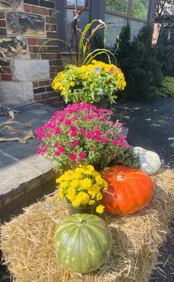 emilyincleve's tweet photo. This makes me so happy! #perfectfallday #deansgreenhouse https://t.co/4WiGZmp0DA