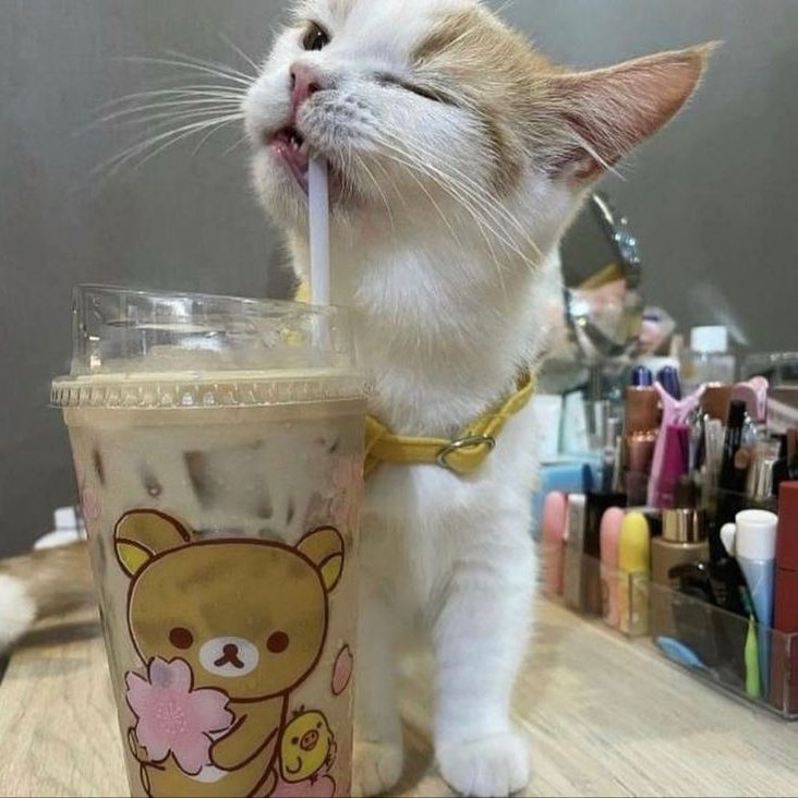 ˙˚ʚîɞ˚.｡.:*comid4s/bebid4s com poucas c4lori4s˙˚ʚîɞ˚.｡.:*

a thread