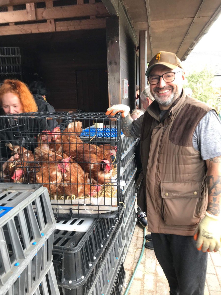 Lucky Hens Rescue 🐔 tweet media