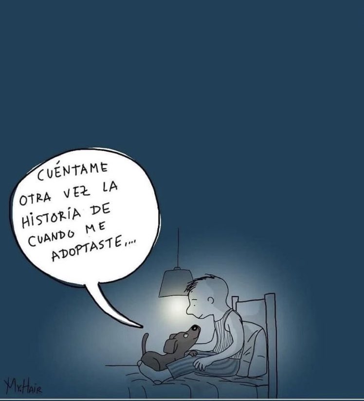 MrElDiablo8's tweet photo. Hoy es Día Mundial del Perro Adoptado, una fecha para promover la adopción, la consciencia y la responsabilidad con los perritos de la calle. 

#VivanLosPerros 🐶🐶
#AdoptaNoCompres https://t.co/Lmax4aypVw