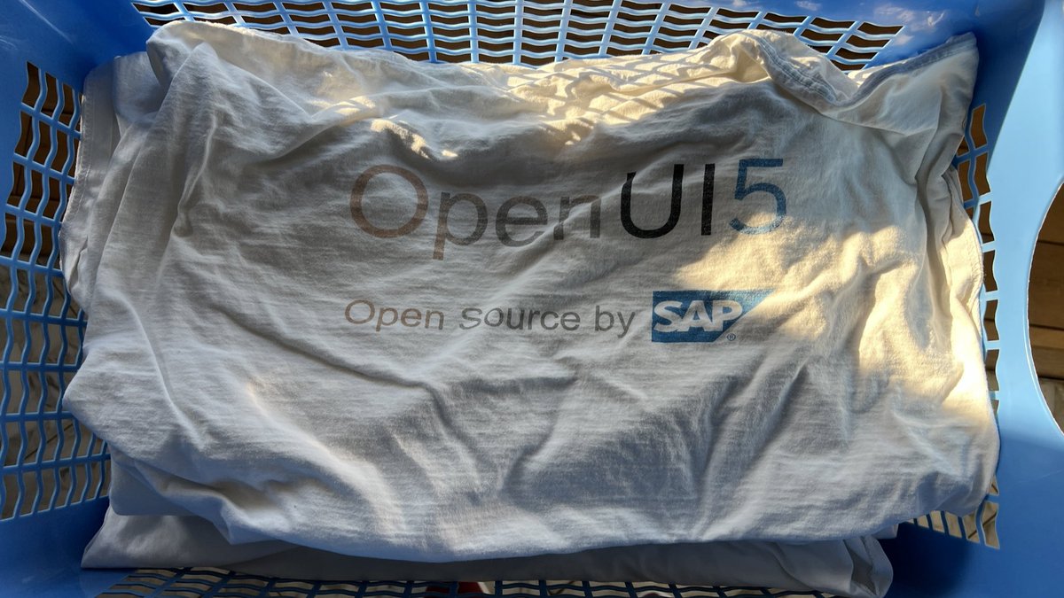 🇧🇪 SAP Inside Track Belgium tweet media