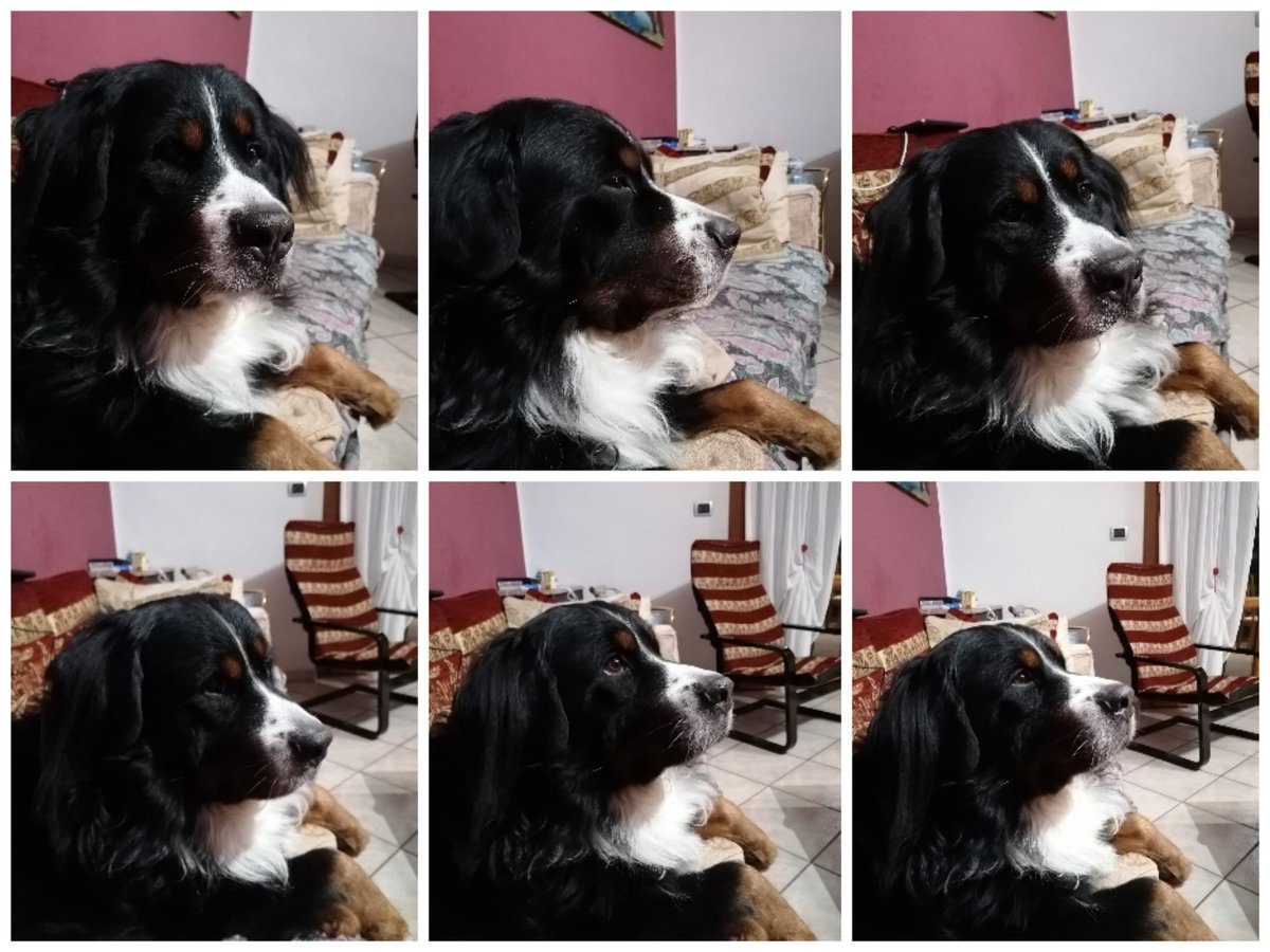 Elisabetta Benedetto tweet media