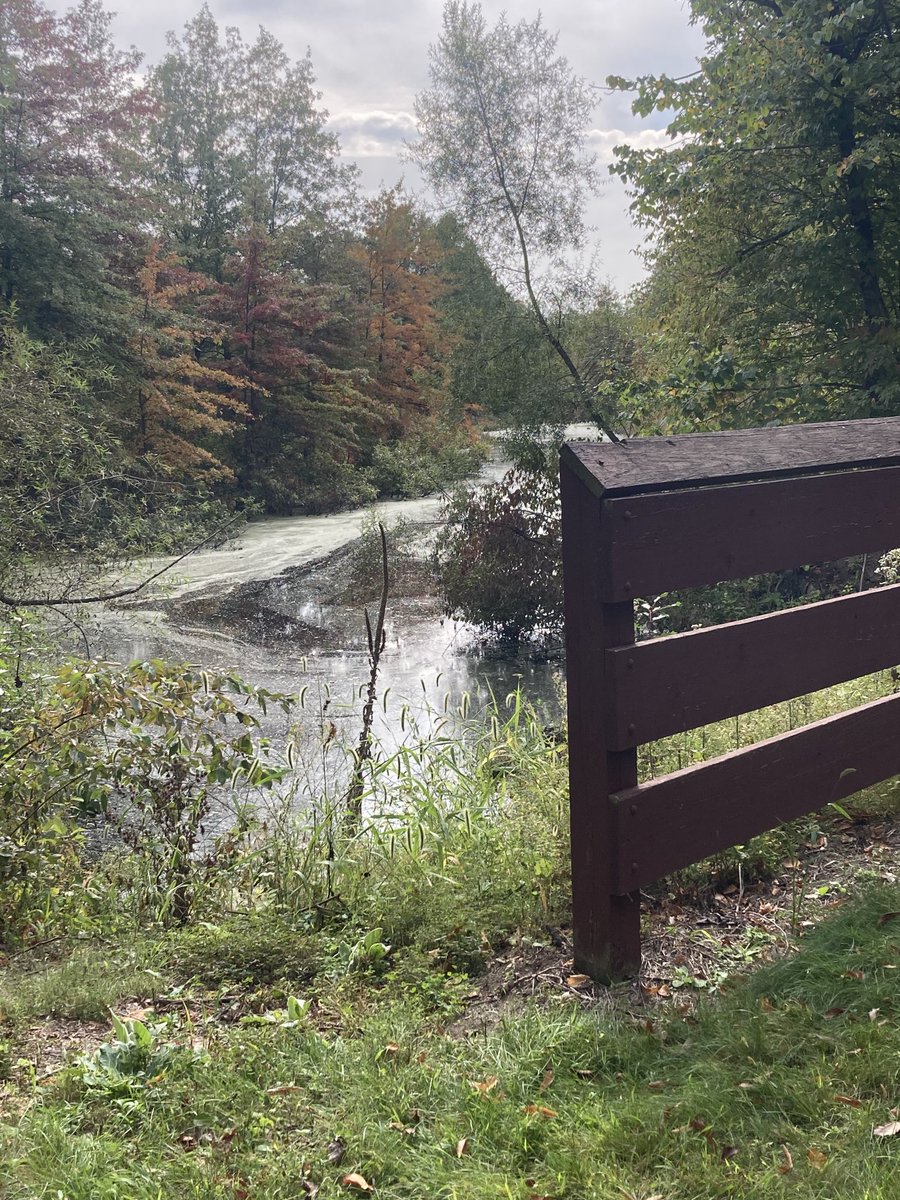 Lindsey Clark tweet media