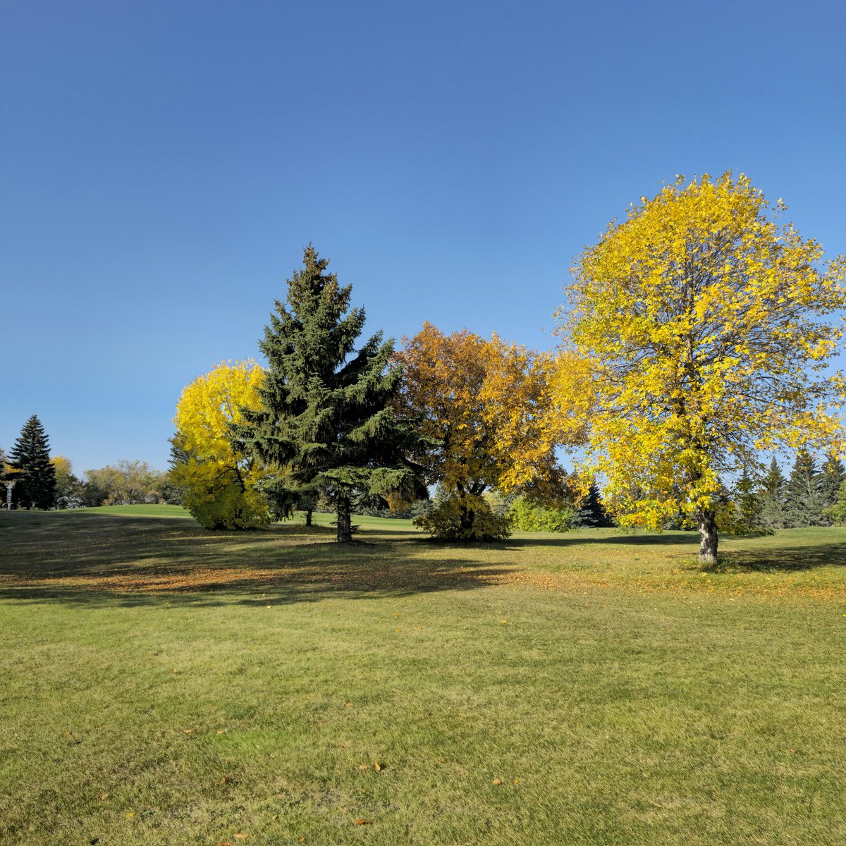 Happy First Day of Fall Saskatchewan
#Fall2023 #Autumn #Fall