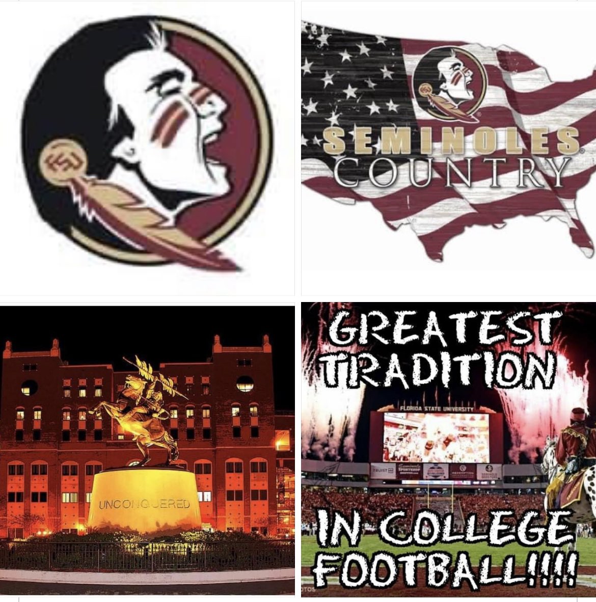 simosez's tweet image. Let’s go FSU!