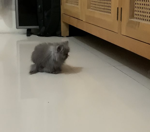 tebak nama ntar dikasih yudi 5