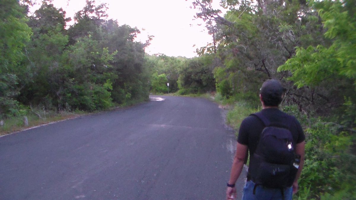 Luke Williams tweet media