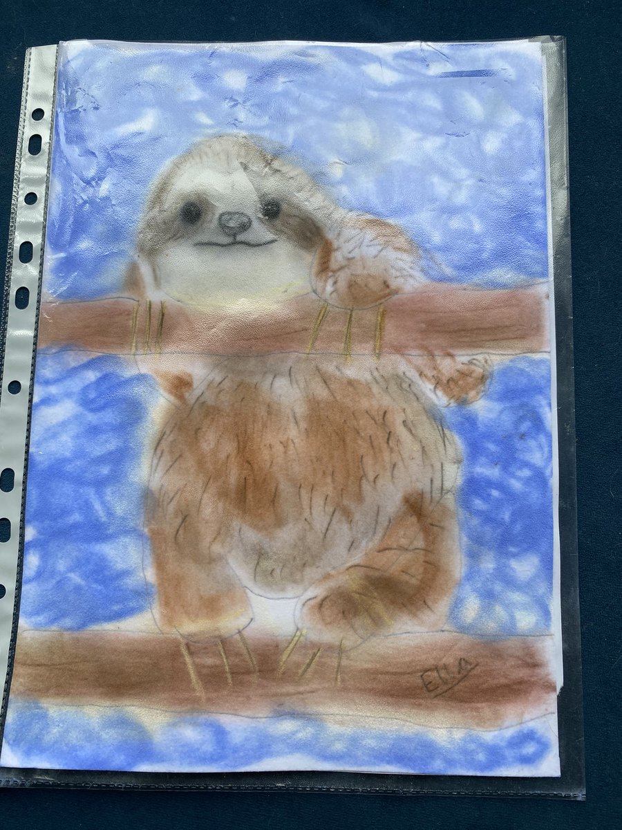Louisew08236896's tweet photo. Ella chose to draw a sloth to fit in with her school project as an animal of the rainforest for her art lesson today @grimoldby_y4 @grimoldbyschool https://t.co/BXJl6X2VTe