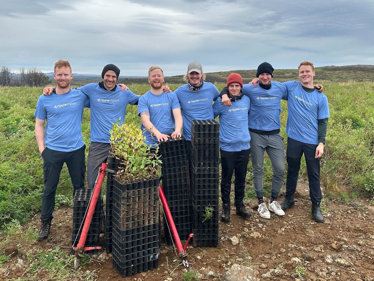 We got new #RippleImpact t-shirts and @Ripple volunteers are already putting them to good use! Toronto and Reykjavik teams both helped out at tree planting events this week.