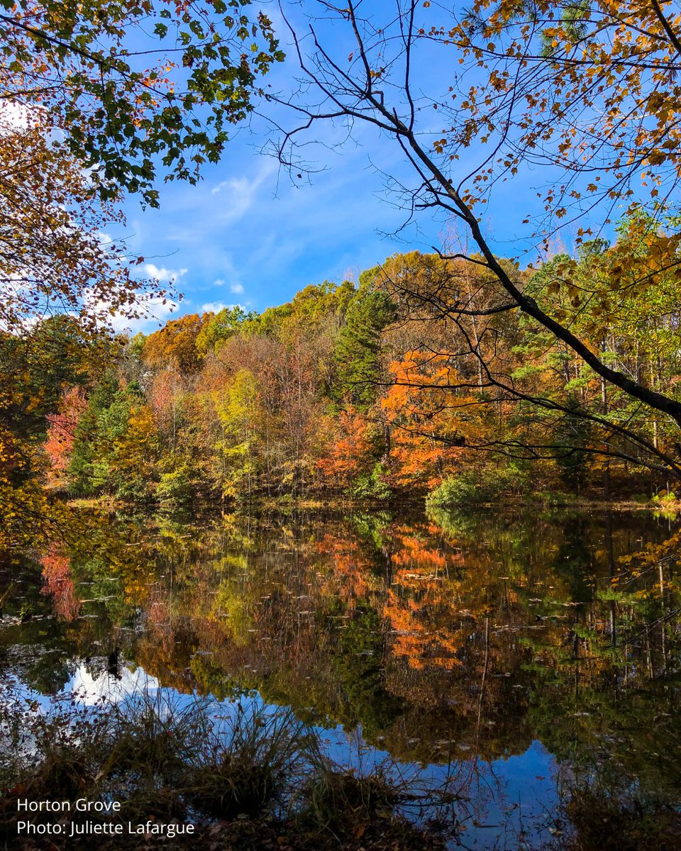 Happy #FirstDayofFall! 🍁 

Though those gorgeous autumn colors aren't out quite yet, we're looking forward to more beautiful scenes like this ahead of us. What's your favorite part about fall?

#trianglelandconservancy #yearofthetrail #hiketlc #trianglenc #northcarolina #visitnc