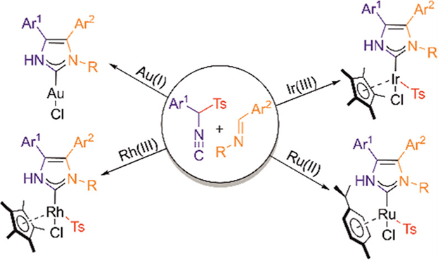 Interested in the synthesis of interesting protic carbenes? See how Hashmi and coworkers access them in a template-controlled synthesis from isonitrile metal complexes and imines, now out in @Orgmet_ACS pubs.acs.org/doi/10.1021/ac…. @MCDietl