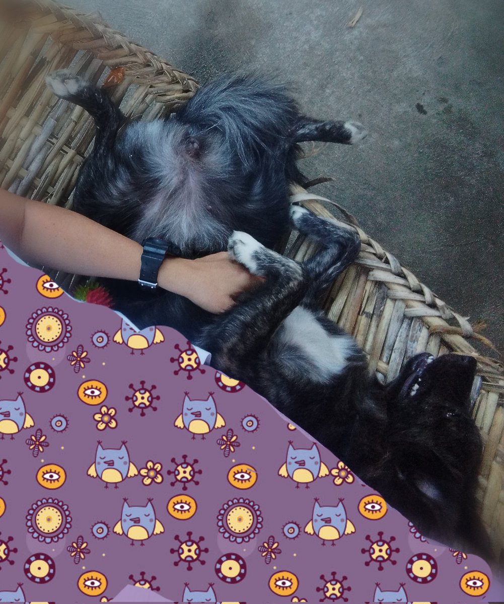 guggles101's tweet photo. Duyan time https://t.co/XE70BbNhI4